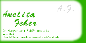 amelita feher business card