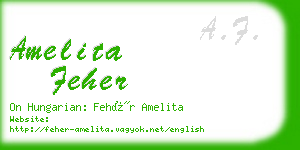 amelita feher business card